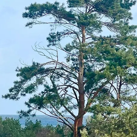 Baltic Park Apartamento *