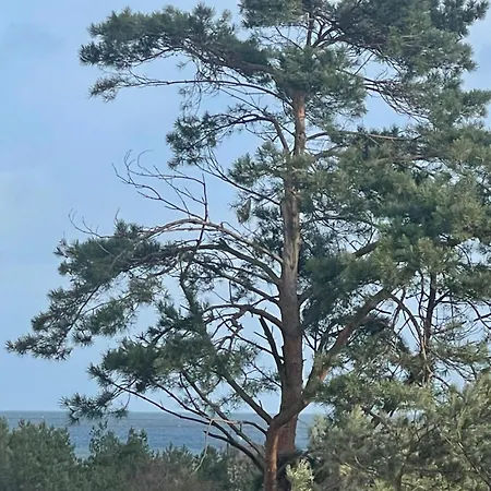 Baltic Park * Świnoujście