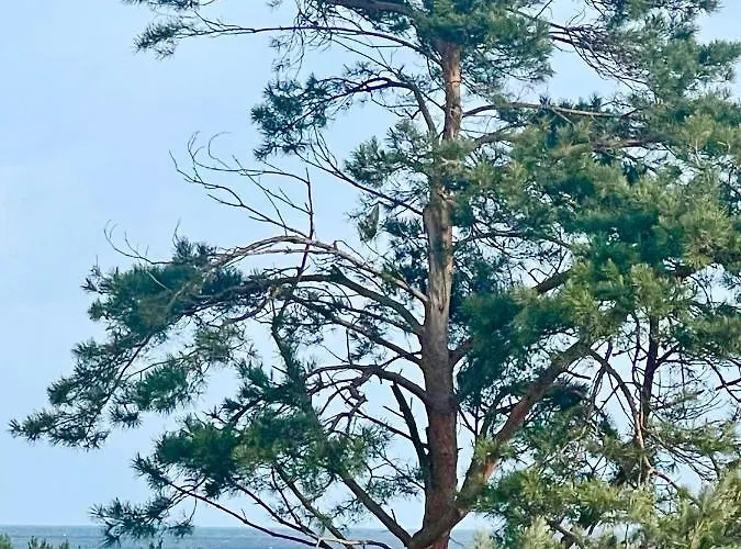 Baltic Park Apartamento *