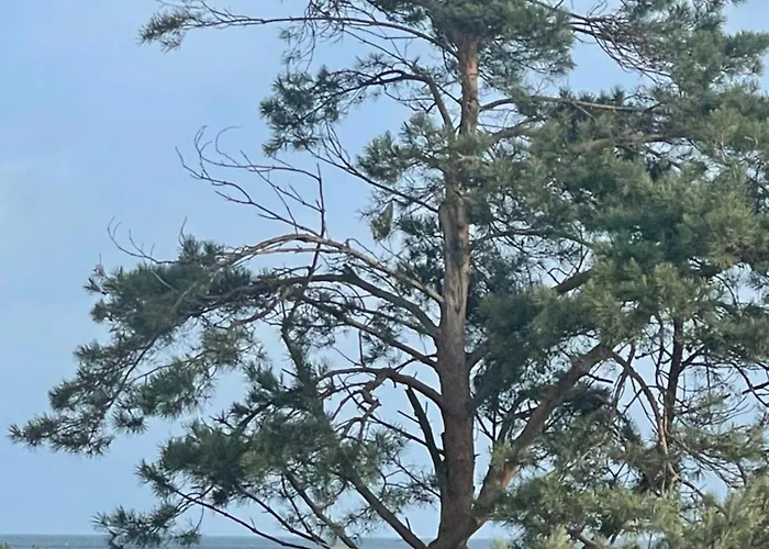 Baltic Park * Świnoujście